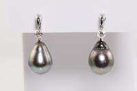 Tahitian Pearl and Diamond Earrings