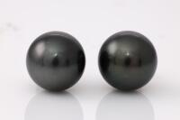 Tahitian Pearl Earrings