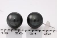 Tahitian Pearl Earrings - 3