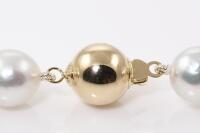 South Sea Pearl Necklace - 4