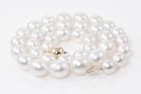 South Sea Pearl Necklace - 5