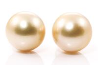 Golden South Sea Pearl Stud Earrings