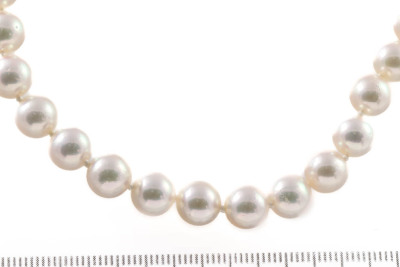 7.5-7.7mm Akoya Pearl Necklace - 2