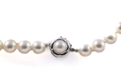 7.5-7.7mm Akoya Pearl Necklace - 4