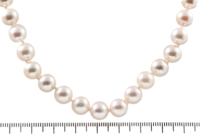 8.0-8.5mm Akoya Pearl Necklace - 3
