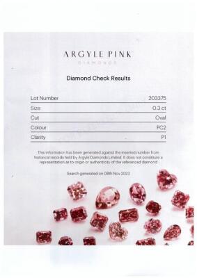 0.30ct Argyle Diamond PC2 P1 - 3