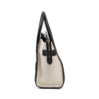 Celine Micro Luggage Python Leather Bag - 5
