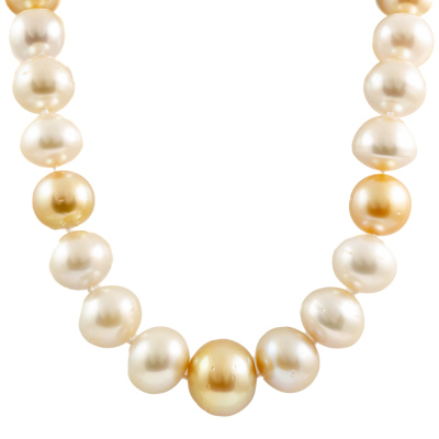 16.5mm - 11.3mm South Sea Pearl Necklace - 2