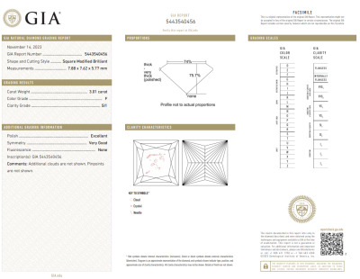 3.01ct Loose Diamond GIA F SI1 - 2