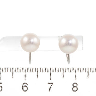7.8mm & 7.9mm Akoya Pearl Earrings - 3