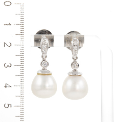 12.8mm South Sea Pearl Earrings - 2