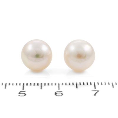9.2-9.3mm South Sea Pearl Earrings - 2