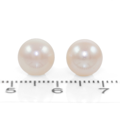 Akoya Pearl Stud Earrings - 2