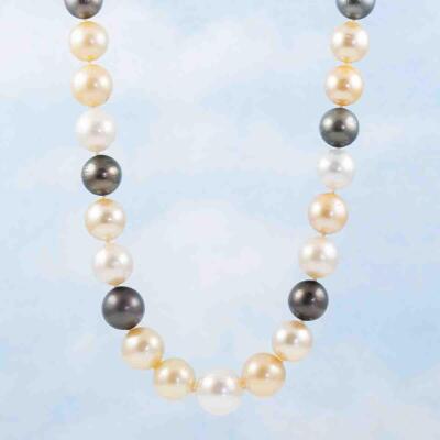 15.23-11.7mm Autore Pearl Necklace - 7