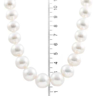 15.1-12.1mm Autore SS Pearl Necklace - 3