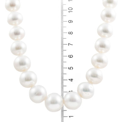 15.1-12.1mm Autore SS Pearl Necklace - 4