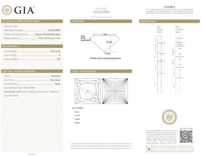 4.53ct Loose Diamond GIA H SI2 - 2