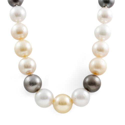 15.01-11.68mm Autore Pearl Necklace