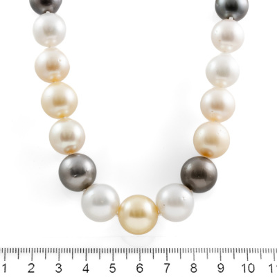 15.01-11.68mm Autore Pearl Necklace - 2