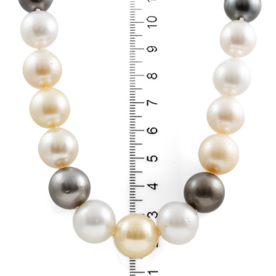 15.01-11.68mm Autore Pearl Necklace - 3