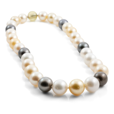 15.01-11.68mm Autore Pearl Necklace - 6