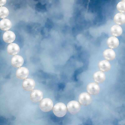 15.1-12.1mm Autore SS Pearl Necklace - 7