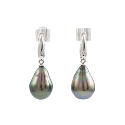 Tahitian Pearl & Diamond Earrings