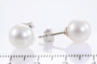 9.2mm South Sea Pearl Stud Earrings - 3