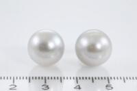 Pearl Stud Earrings - 2