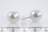 Pearl Stud Earrings - 3