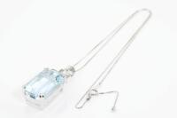 40.54ct Aquamarine Pendant - 6